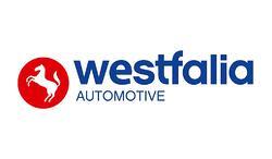 Westfalia afneembare trekhaak kogel 305305